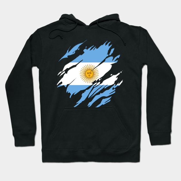 Proud Argentina Flag, Argentina gift heritage, Argentinian girl Boy Friend Hoodie by JayD World